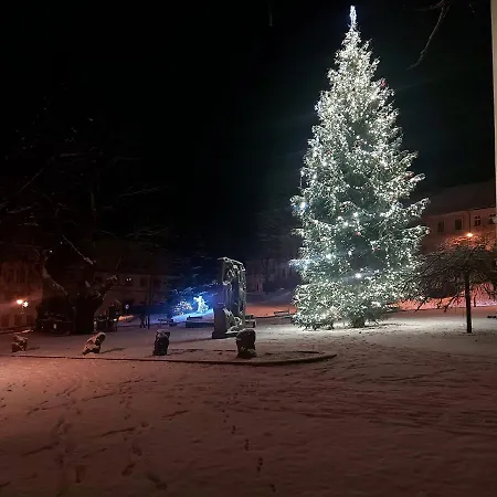 Apartmán U Váhy *