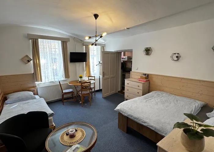 U Vahy Apartament Jáchymov